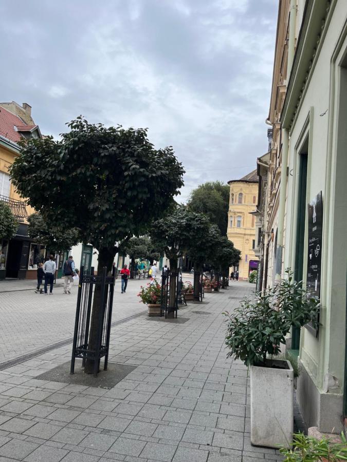 Wiener Garden Γκιόρ Εξωτερικό φωτογραφία
