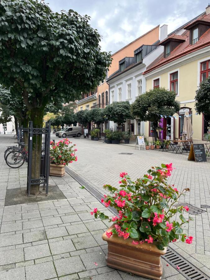 Wiener Garden Γκιόρ Εξωτερικό φωτογραφία